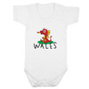 Wales Dragon Baby Short Sleeve Bodysuit