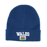Wales 3D Beanie - Ink Blue