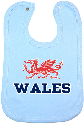 Wales Dragon Baby  Bib