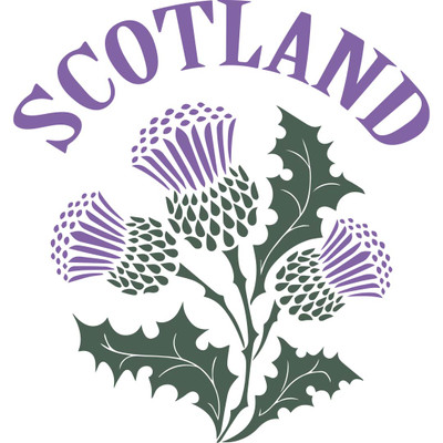 HP Vintage Scotland Thistle Kids T-Shirt