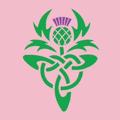DP Scotland Thistle Logo Baby Bib