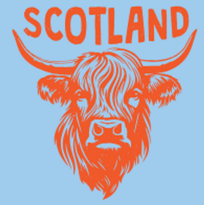 Adults Ginger Highland Cow Adult T-shirt