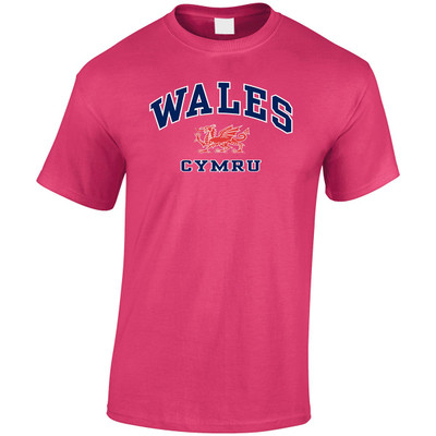 Wales Harvard T-Shirt