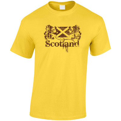 (DP)#Distressed Scotland Lions and Flag T-Shirt