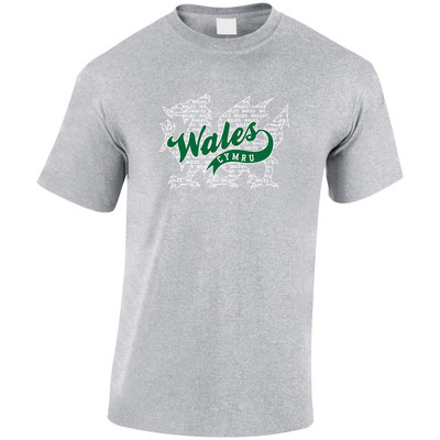 (LP)#3D Felt Wales and Dragon  T-Shirt