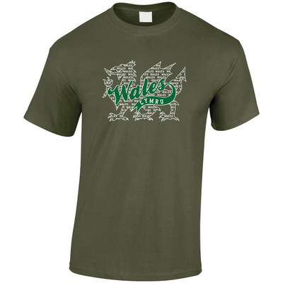 (LP)#3D Felt Wales and Dragon  T-Shirt