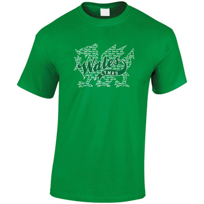 (LP)#3D Felt Wales and Dragon  T-Shirt