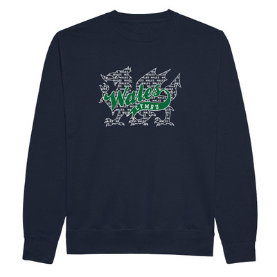 3D Felt Wales and Dragon Sweatshirt