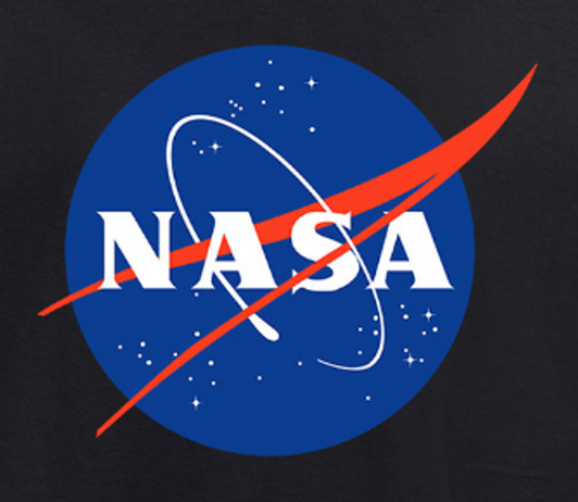 NASA (Large Chest Logo) PRINT DESIGN