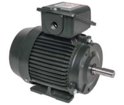 Toshiba 0022SDSR41A-P3  Electric Motor, 2 HP, 3600 RPM, 230/460 Volts, 145T Frame