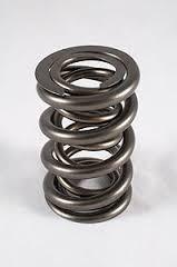 PAC 1224-16 Valve Springs - Patterson Elite