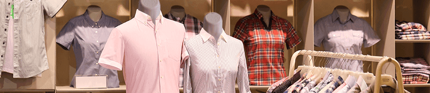 mannequin torsos for countertop displays