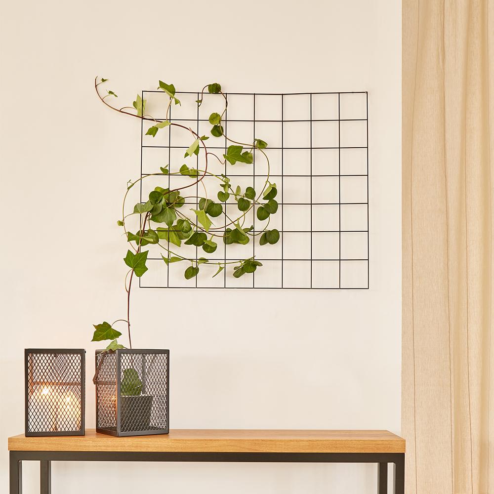 mini grid panel attached to the wall, holding a plant's leaves