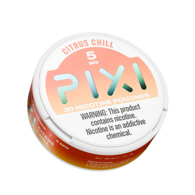 PIXI PARIS ピクシーパリ　TIN TIN PIXI PARIS ピクシーパリ TIN TIN Pixi & Co. - Collectible Figurines