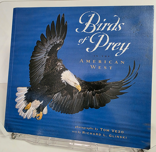 Birds of Prey in the American West - Nature Photography Birds of Prey in the American West - Nature Photography