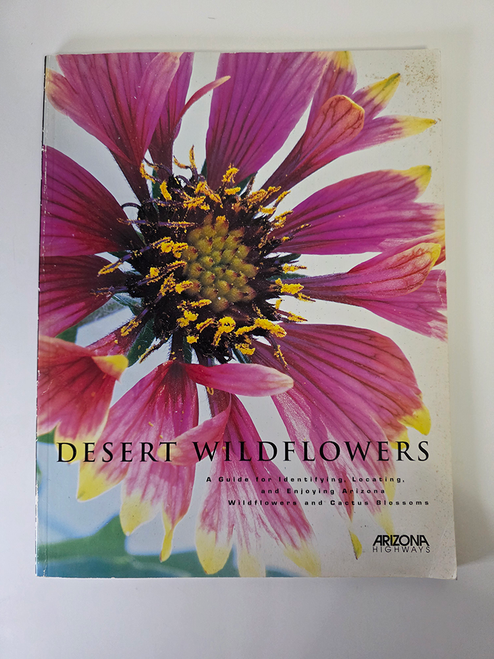Desert Wildflowers, Flower Identification Guide for Arizona Wildflowers