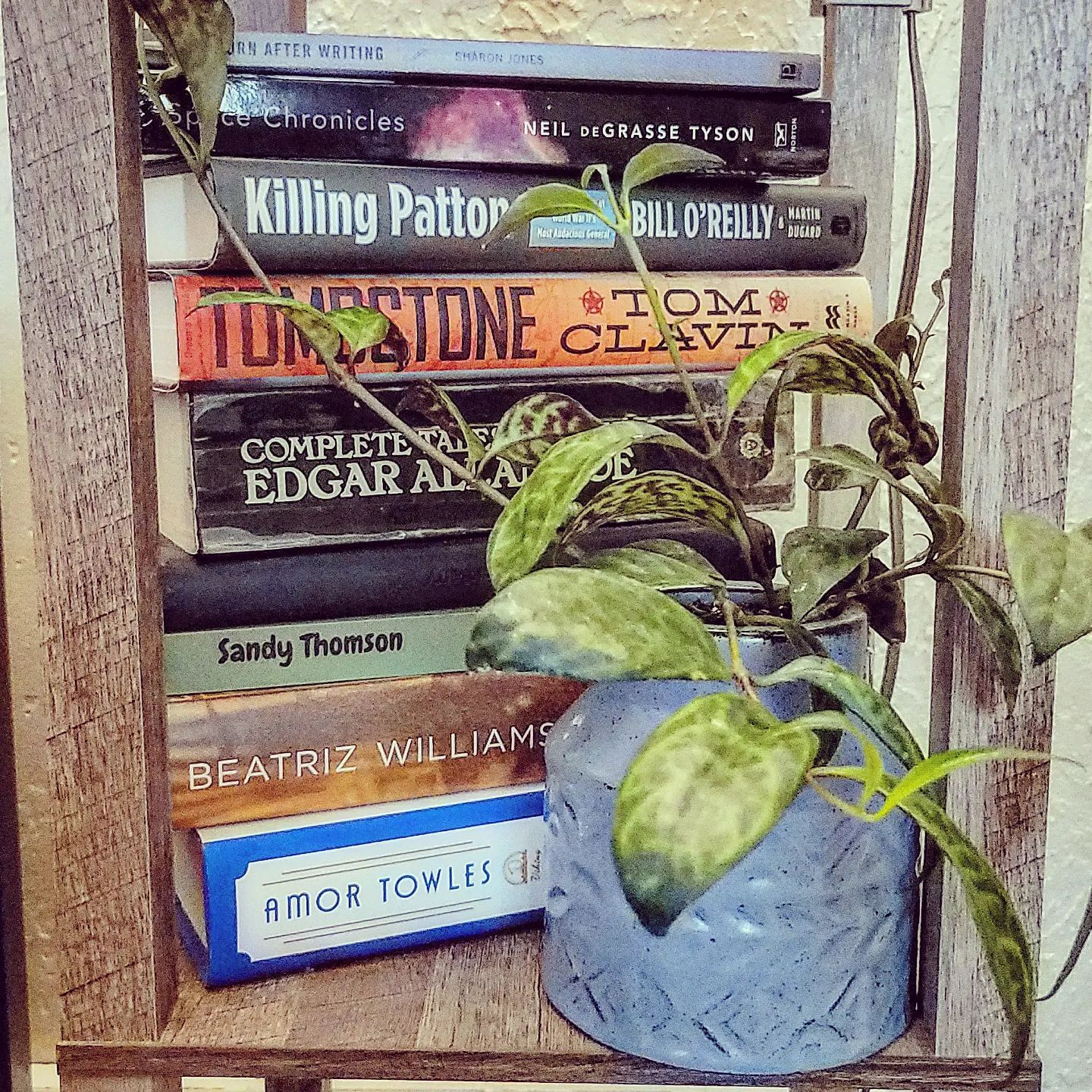 A link to a webpage that lists book terms.