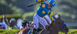 Wheels Up’s Engagement Finishes Ahead with American Pharoah and Serena Williams Victories