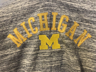 Champion Michigan Wolverines Women's Pullover Hoodie Heather Grey