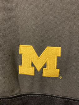 Champion Men's Michigan Wolverines Quarter Zip Grey Maize