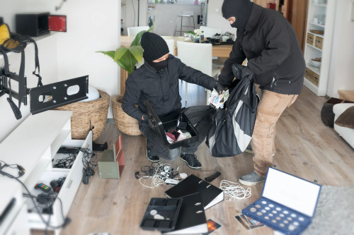 Intriguing 2023 Burglar Statistics and How Burglars Select Their Targets