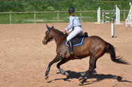Spring Horse Health: Magnesium and Calming Effect Spring Horse Health: Magnesium and Calming Effect