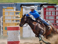 ​How Fast Will Magnesium Supplementation Work for My Horse?