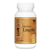 VITA GREEN Natural & Wild Lingzhi Capsules 維特健靈 五色靈芝 72 Capsules 靈芝補五臟 增強活力 抗氧力 抗病力 抗疲勞 VITA GREEN Natural & Wild Lingzhi Capsules 維特健靈 五色靈芝 72 Capsules 靈芝補五臟 增強活力 抗氧力 抗病力 抗疲勞