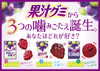 MEIJI Juice Gummy Elasticity Plus Grape | 明治 果汁軟糖 彈力葡萄味 72g