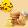 LOTTE ZERO Sugar-Free Biscuits | 樂天 ZERO 無糖餅乾 26g