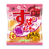 Koikeya Potato Chips Nanko-ume Flavor | 湖池屋 薯片 紀州梅味  55g