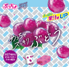 UHA Puccho Stick Candy Grape 味覺糖 果肉條裝糖 紅提味 50g 10Pcs [Best Before Jun 30, 2024]