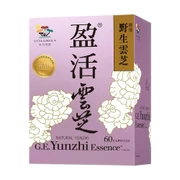 VITA GREEN G.E. Yunzhi Essence | 維特健靈 盈活雲芝 60粒 提升抗頑免疫 紓緩化電療不適