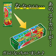 Lotte Chewing Gum Ice-Watermelon Flavor 日本樂天 香口膠 西瓜雪條味 9's