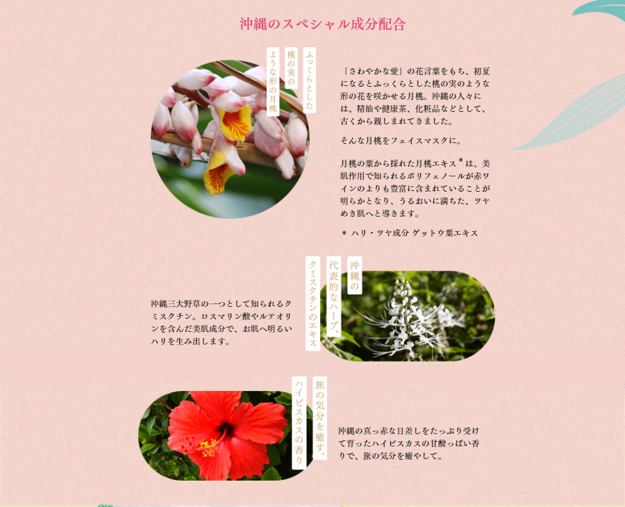 すべての美しい花の画像 新着花言葉 健康 回復 すべての美しい花の画像 新着花言葉 健康 回復