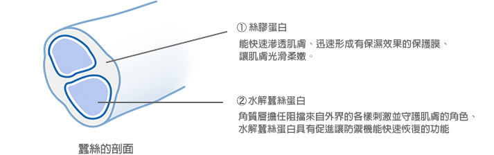p6.png?