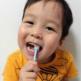 stb-brush-c2.jpg?