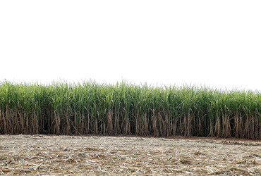 Ethanol as a Prime Ingredient in Quantum Permanent Makeup Pigments