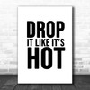 Drop It Like Its Hot Song Lyric Music Wall Art Print