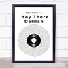 Plain White T's Hey There Delilah Vinyl Record Song Lyric Print