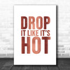 Rose Gold Drop It Like Its Hot Song Lyric Music Wall Art Print