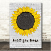 Maren Morris Just for Now Script Sunflower Song Lyric Print