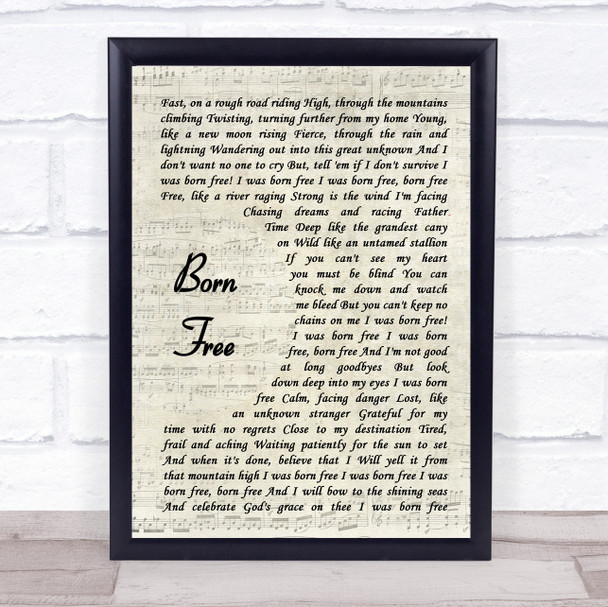 Kid Rock Born Free Vintage Script Song Lyric Print