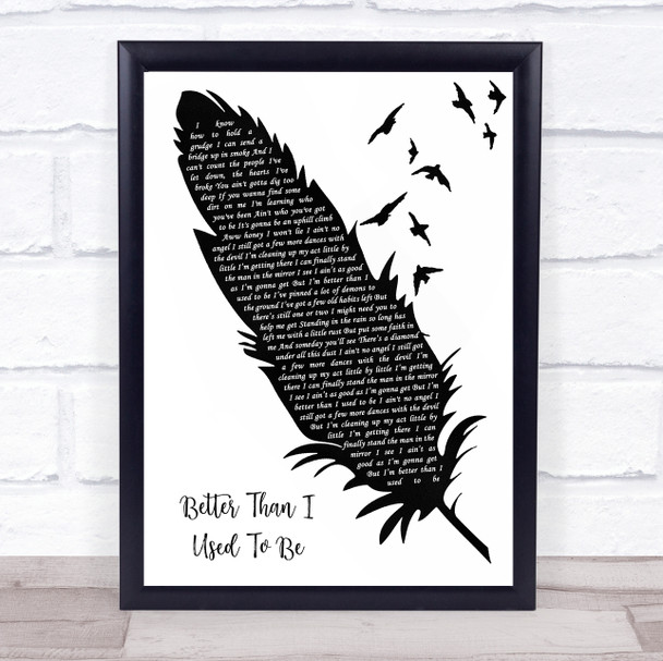 Tim McGraw Better Than I Used To Be Black & White Feather & Birds Song Lyric Print
