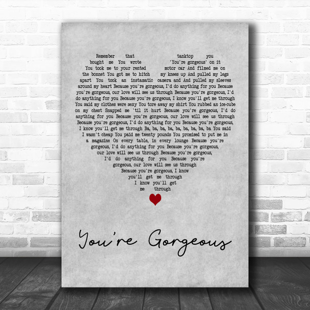 Baby Bird You're Gorgeous Grey Heart Decorative Wall Art Gift Song Lyric Print