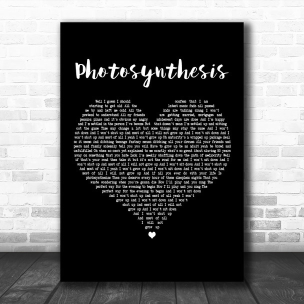 Frank Turner Photosynthesis Black Heart Decorative Wall Art Gift Song Lyric Print