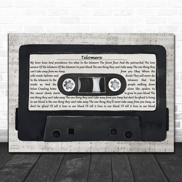 Mystery Jets Telomere Music Script Cassette Tape Decorative Wall Art Gift Song Lyric Print