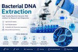 Bacterial DNA Extraction Kit | Bacterial Genomic DNA Extraction & DNA Isolation from Bacteria
