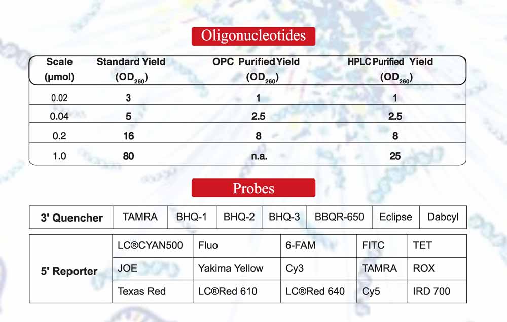 15.-oliginucleotides-probes-f.jpg