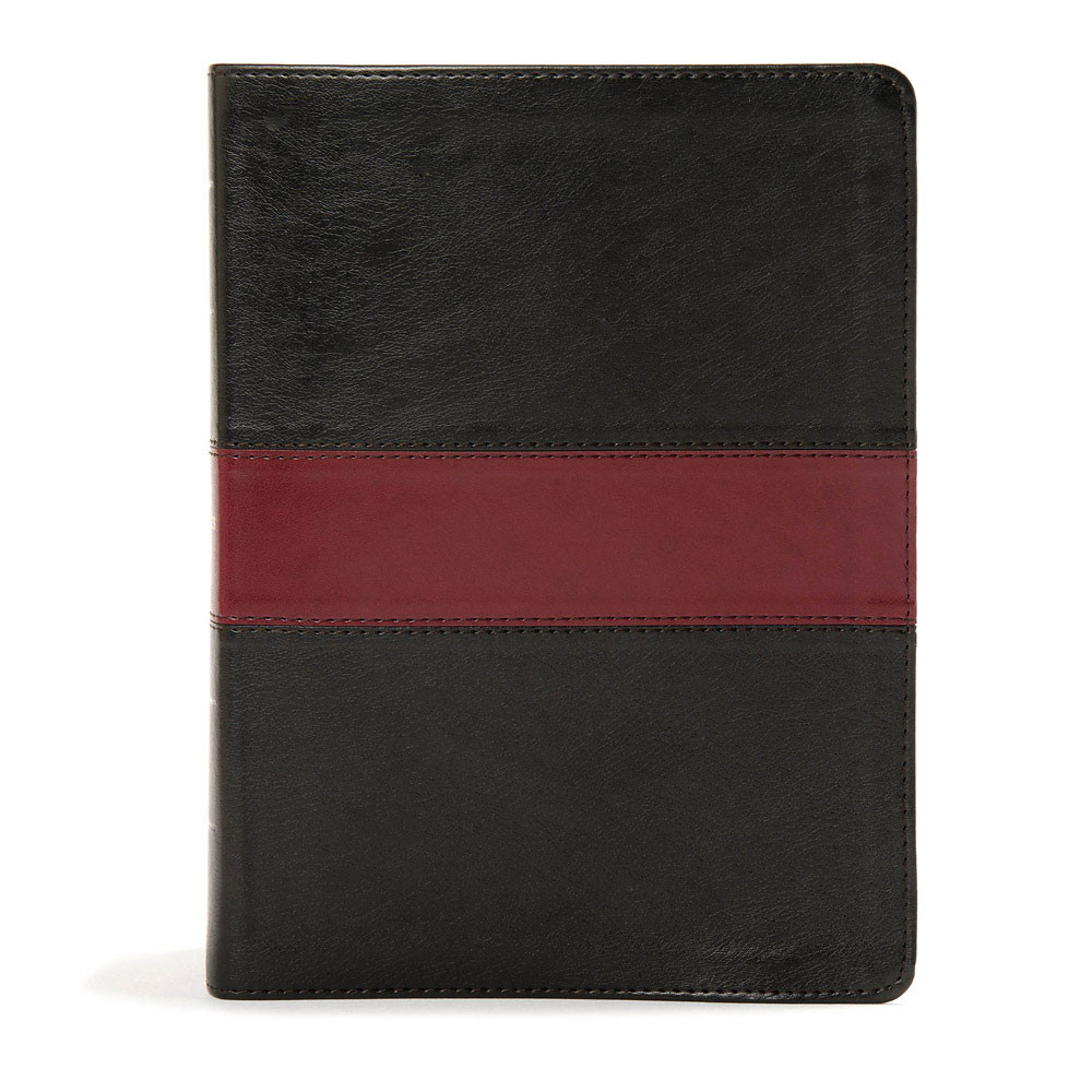 KJV Apologetics Study Bible, Black/Red Leathertouch